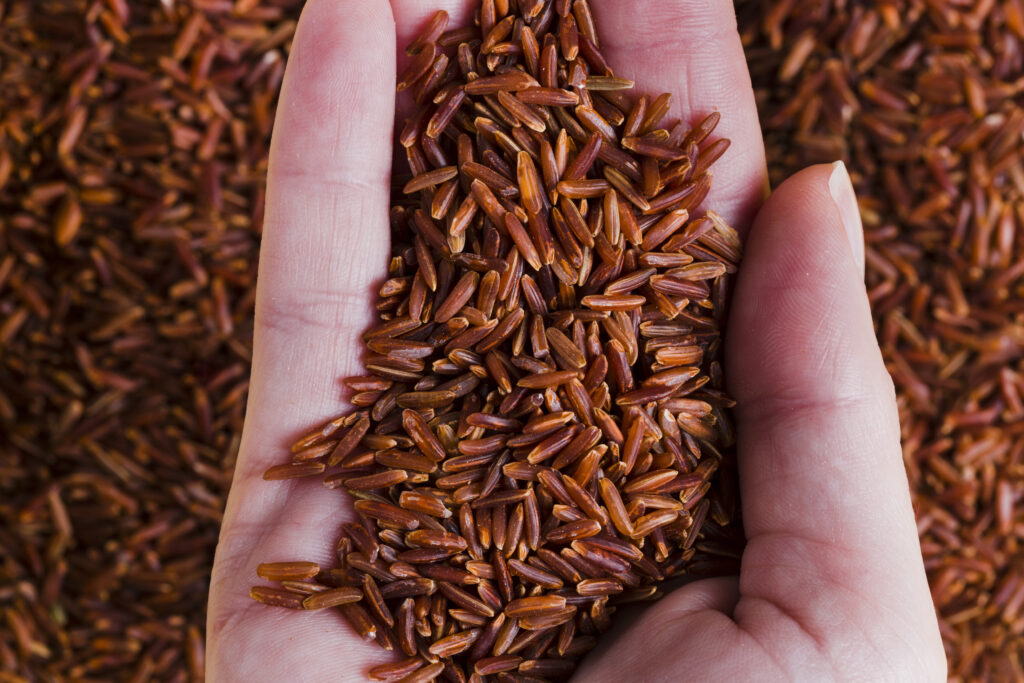 Ultimate Guide To Brown Rice Everything You Need To Know Ultimate Guide To Brown Rice Everything You Need To Know