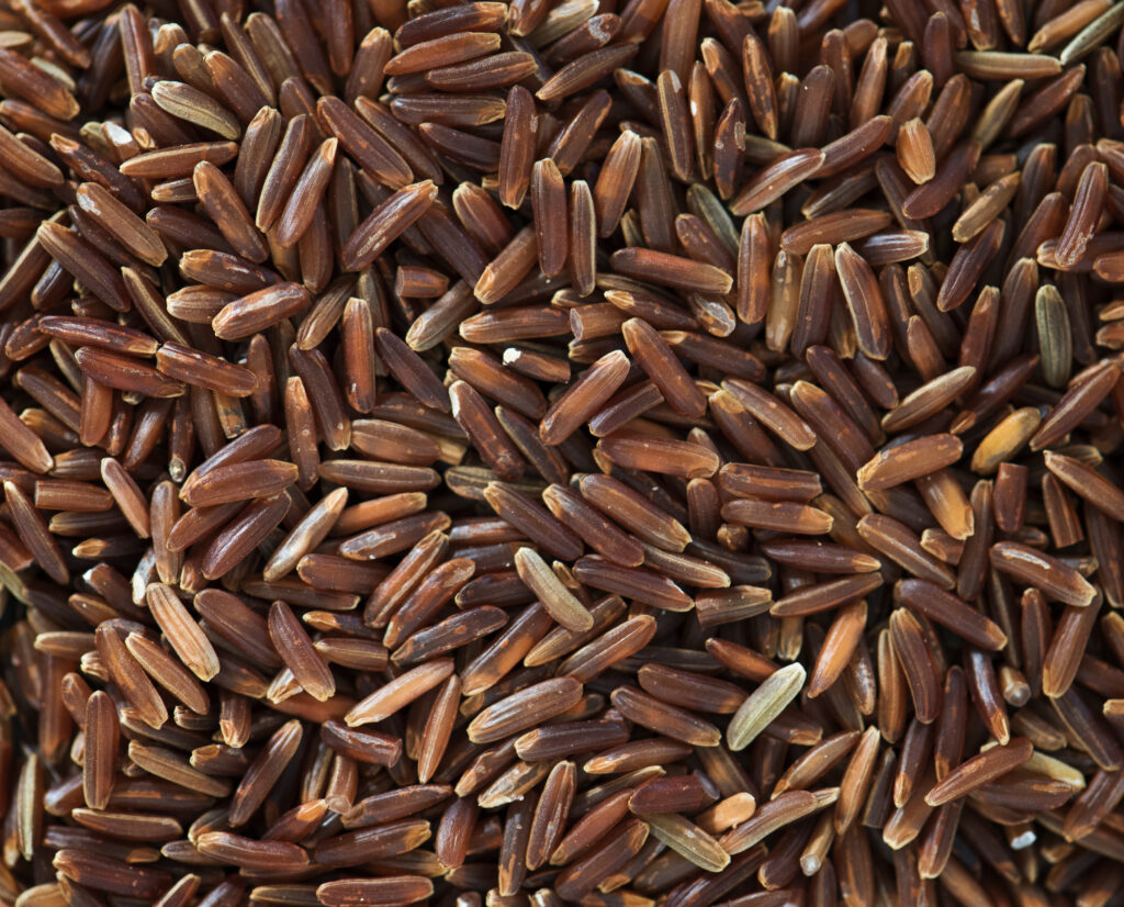 Brown Rice